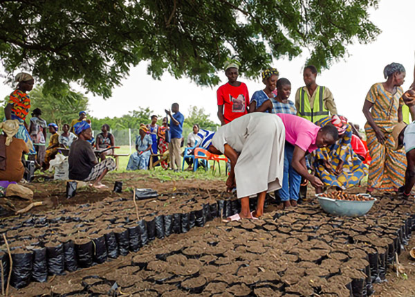 DJI-Wirkungsbereich-2-Baumschule